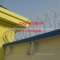 CBT65 razor wire alambre concertina alambre acero inoxidable Razor alambre de púas